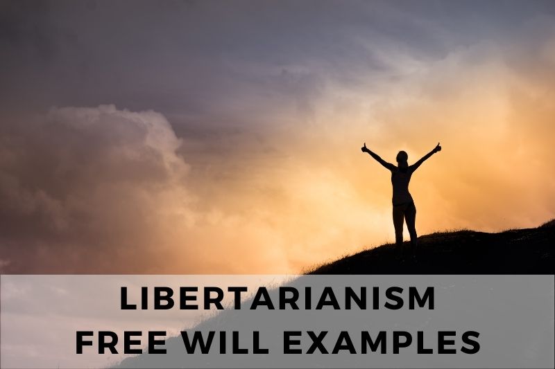 11 Examples of Free Will in Libertarian Philosophy - Inside Political ...