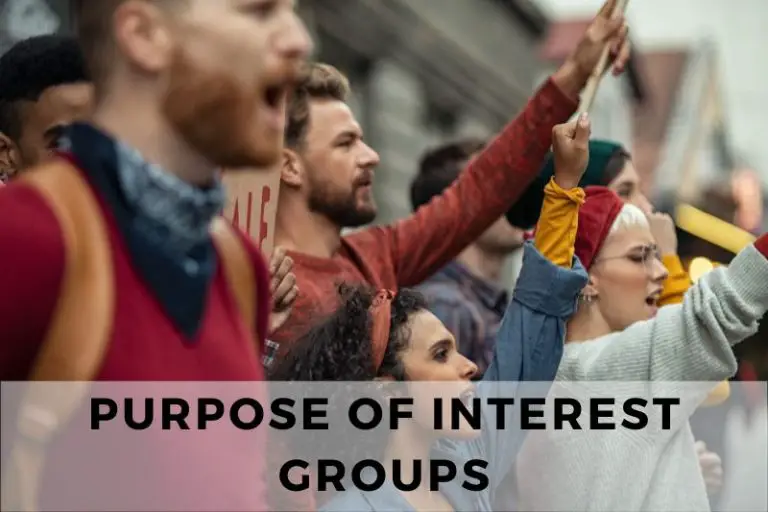 What is the Purpose of Interest Groups in a Democracy?