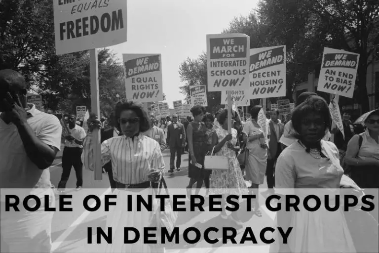 Analyzing the Role of Interest Groups in a Democracy